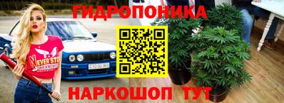 a pvp Янаул